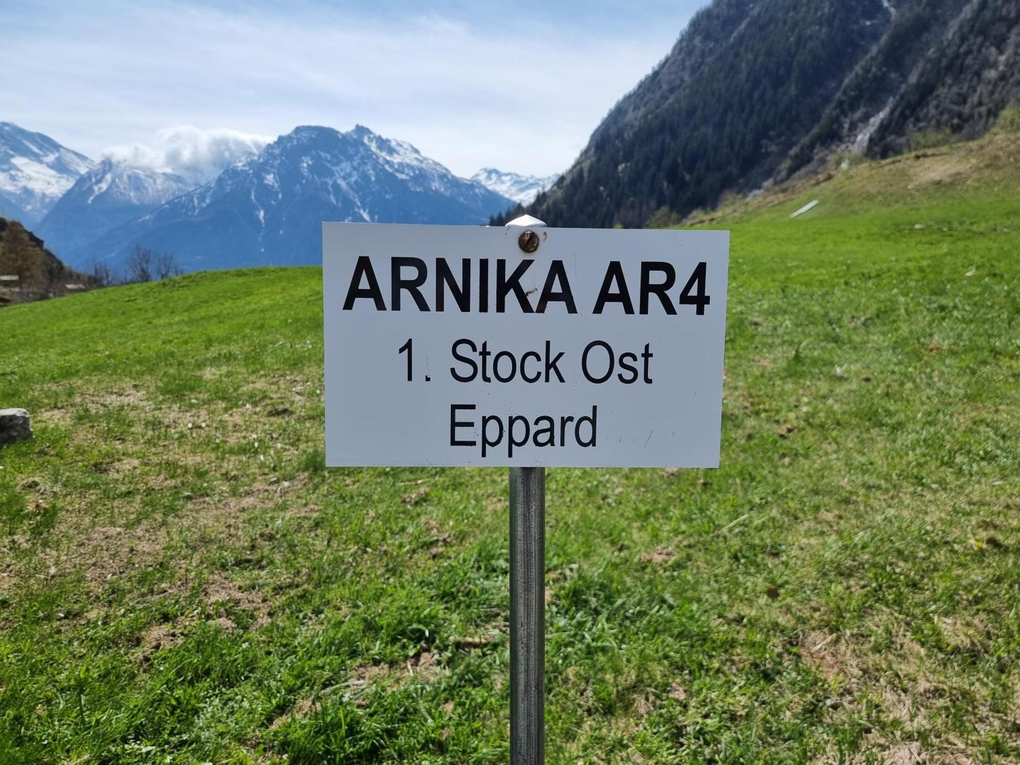 ナータースArnikaアパートメント 部屋 写真